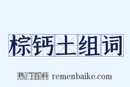 棕钙土组词是什么意思的图片